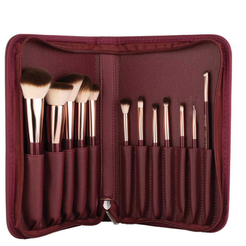 MARS Professional Brush Set - Pack of 12